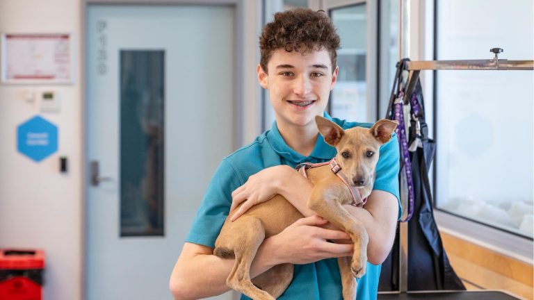 A smiling, young student with braces and curly brown hair, holds a small, light brown dog in their arms in a bright indoor animal studies training area.