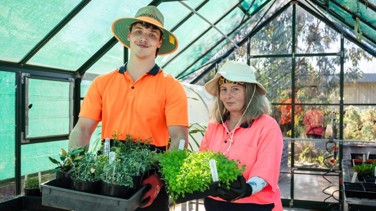 Two horticulture students, wearing high-visibility shirts and sun hats, stand inside a greenhouse holding trays of small potted plants.