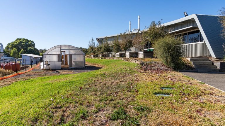 Exterior view of the Bendigo TAFE Charleston Road Campus building with a sloping roof, a path leading to steps, and a small greenhouse or poly tunnel set on a grassy bank.